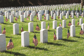 michigan-cremation-fort-custer-national-cemetary-295w-198h